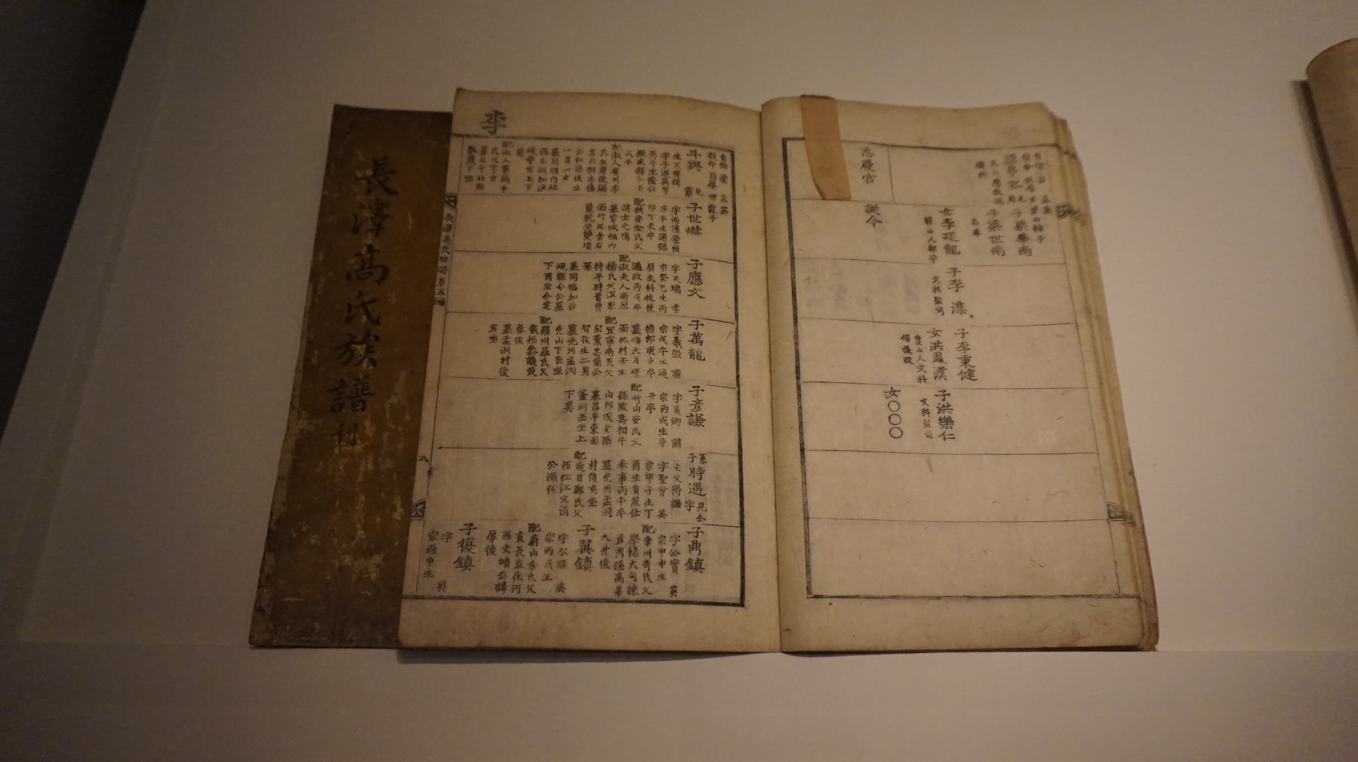 An open late Chosŏn genealogical register displaying vertically arranged family entries across two folios.